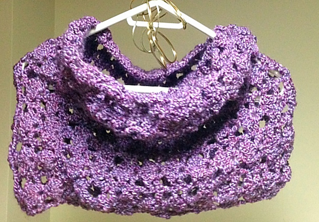 The Ami Cowl