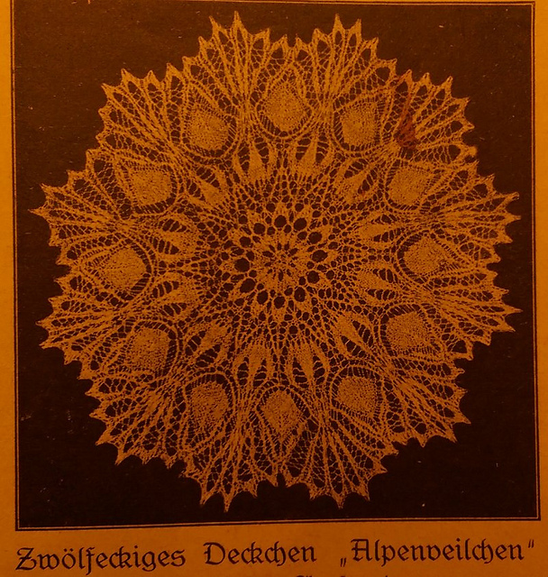 Alpenveilchen