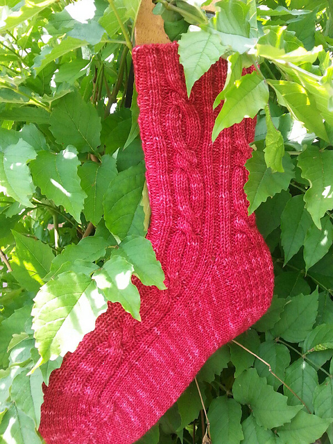 Trumpet Vine Socks