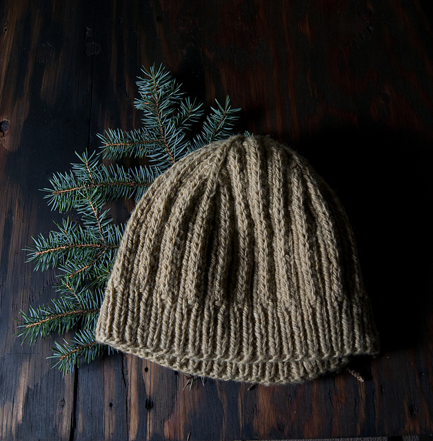 Conifer
