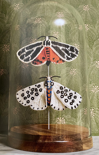 Moths