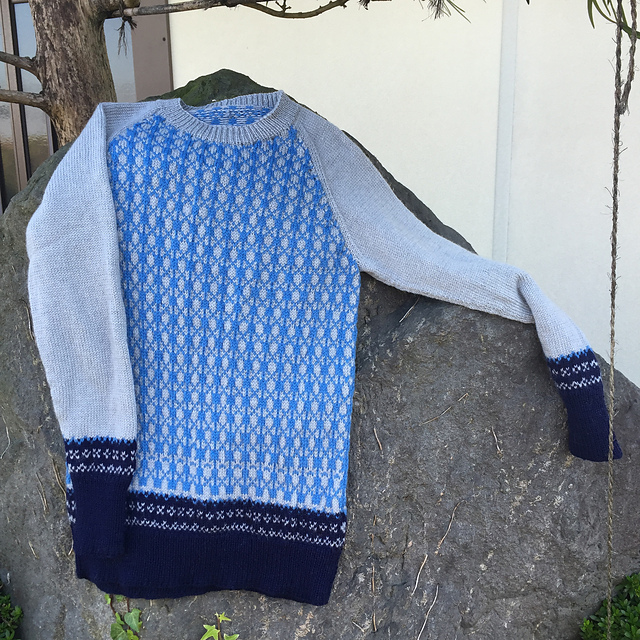 C. Nordic raglan sweater