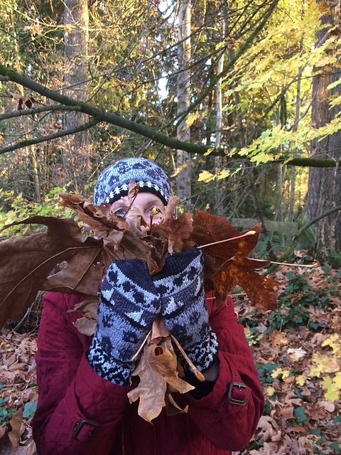 Port Oxford Mittens