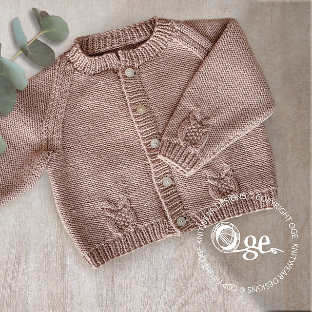 Cozy raglan sleeve cardigan P079