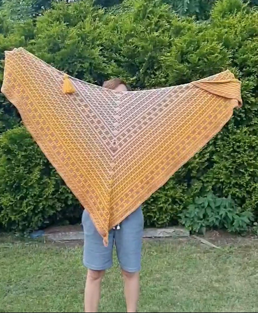 Amala shawl