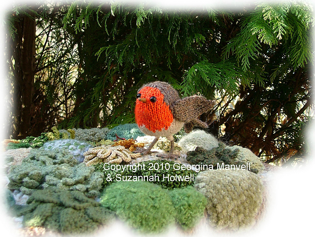 Mr. Robin Redbreast