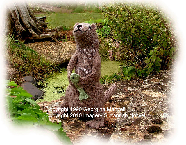MR OTTER