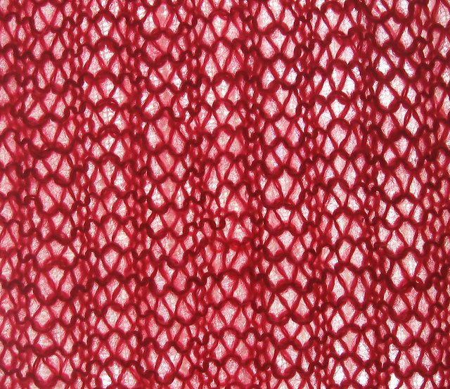 Lacy Stripes Scarf