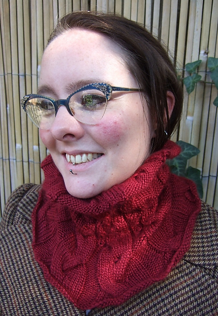 Winter Warmers - Cowl
