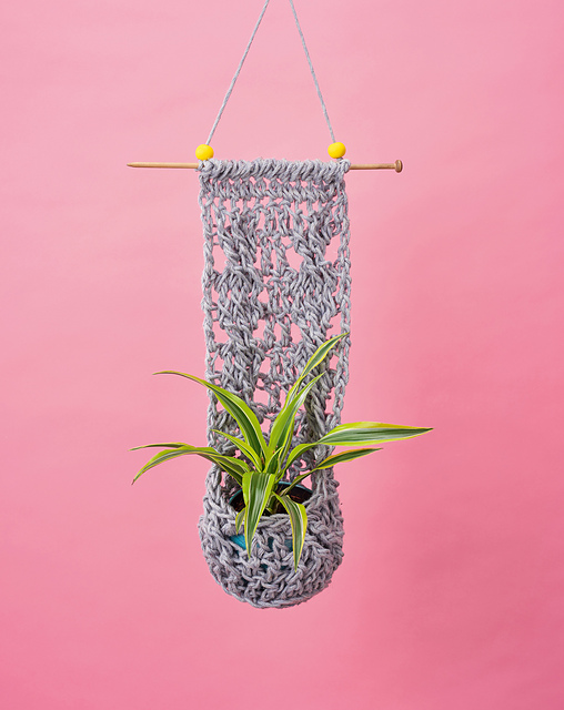 Climbing Plant Holder