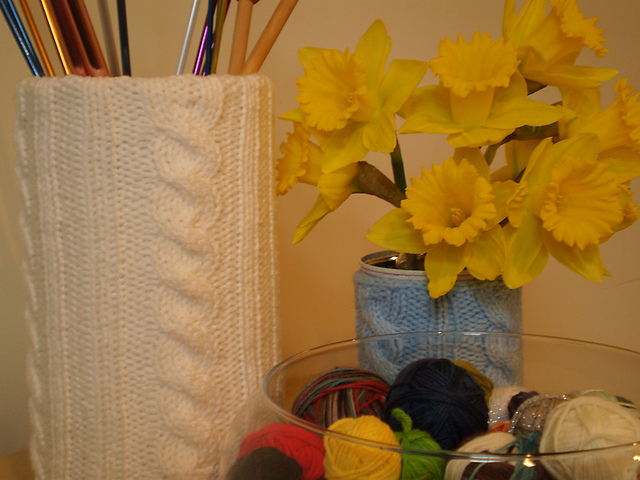 Cabled Container Cozy