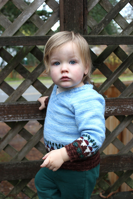 Radish Pullover