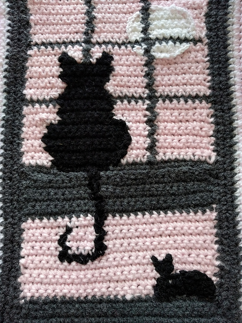Cat in the Window
