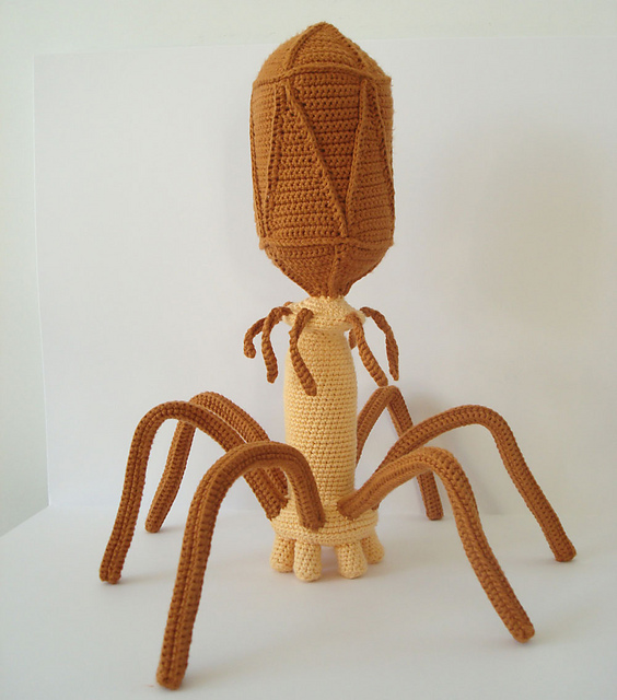 Bacteriophage Virus