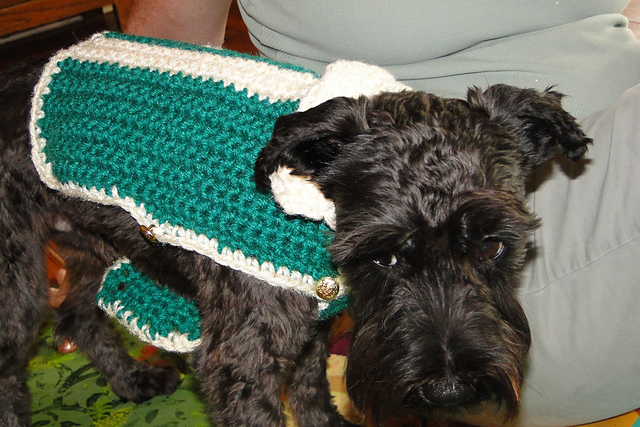 Dog Sweater with Stripe #777-4