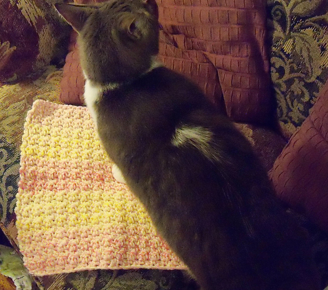 Ravelry SingleDouble Snuggle pattern by Rae French