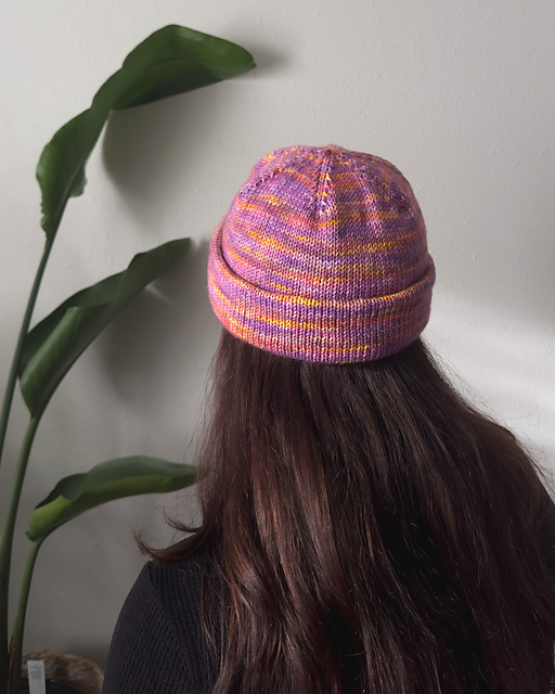 Cousteau Bonnet