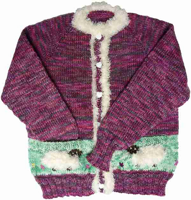 Schafbordürenjacke