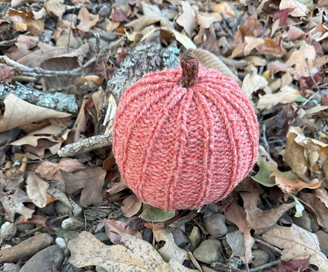 Ribbed Pumpkin
