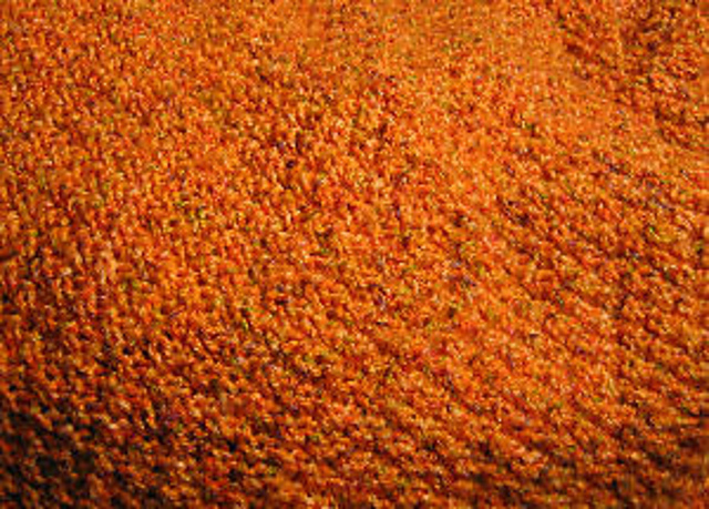 Moss Stitch Lap Afghan