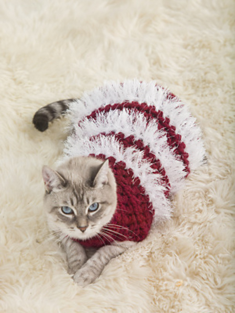 Holiday Pet Sweater