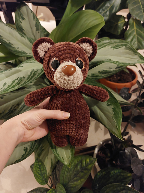 The Bear