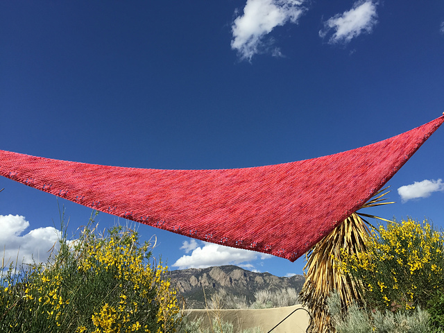 Counting Daisies Shawl