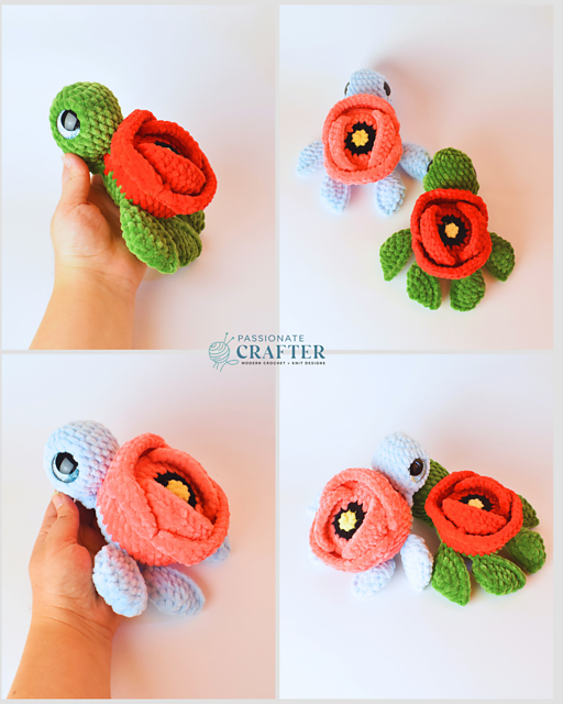 Poppy Turtle
