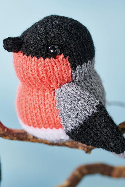 Bull Finch