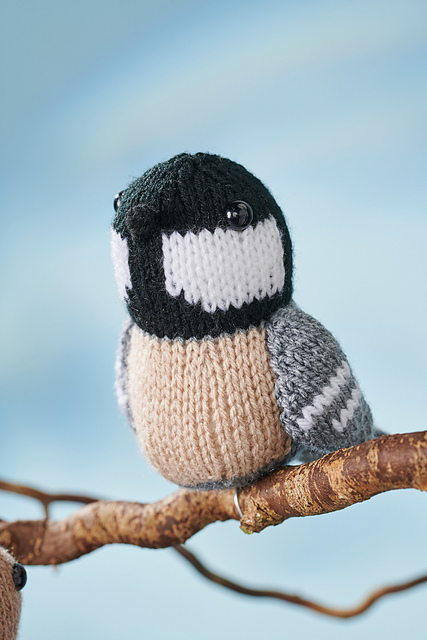 Coal Tit