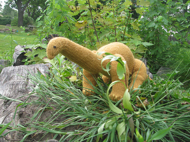 Apatosaurus