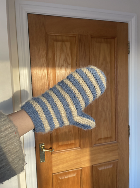 Cosy Knit Mittens