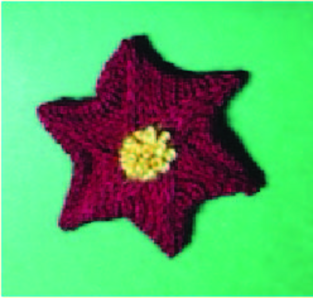 Poinsettia Yo-yo