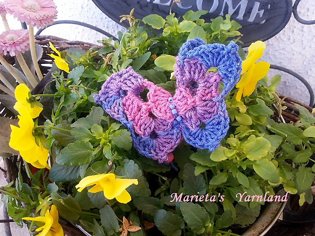 Double Butterfly