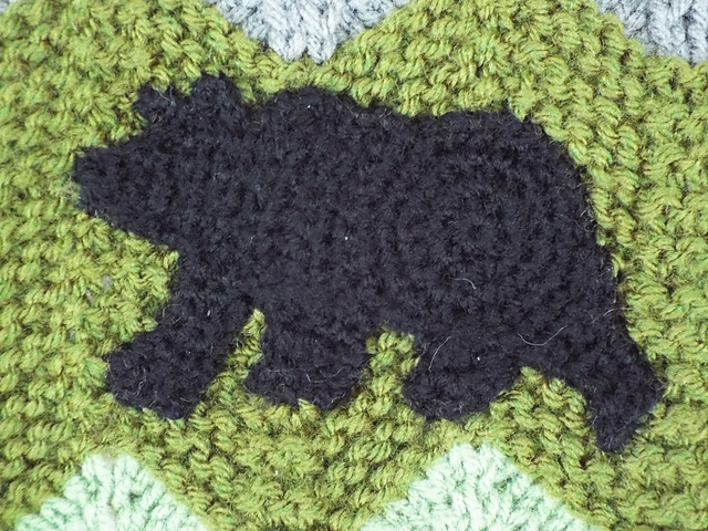 Black Bear