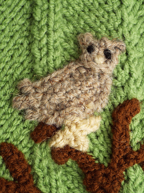 Screech Owl