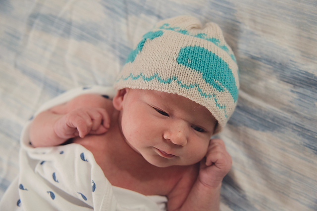 Ravelry: Coastal Local pattern by Rachel Borello Carroll