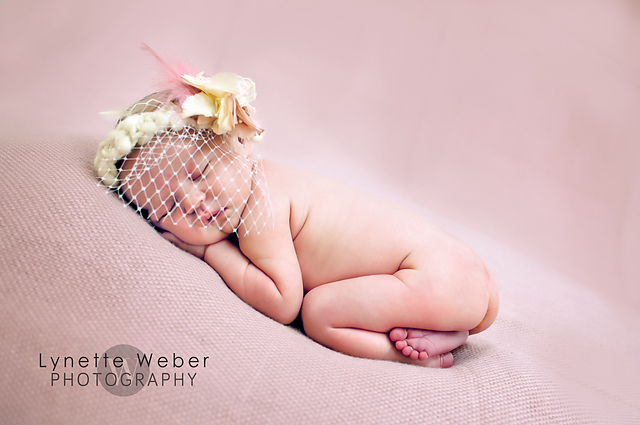 Emilie Veiled Tiara