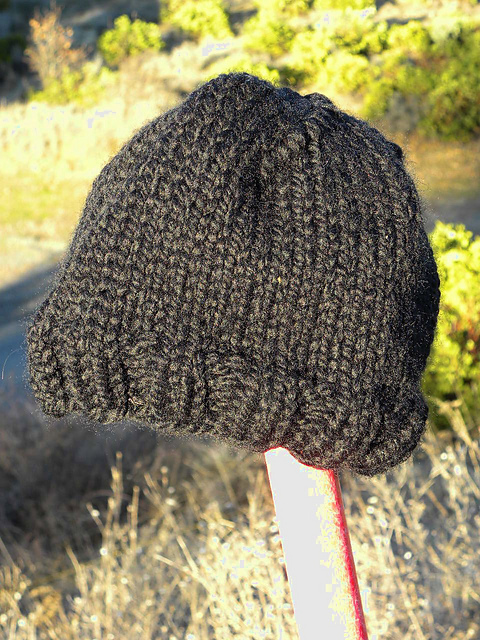 Quick Navy Watchcap