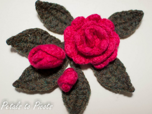 Rosebud and leaf