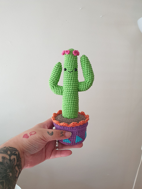 Savanna the Saguaro Cactus