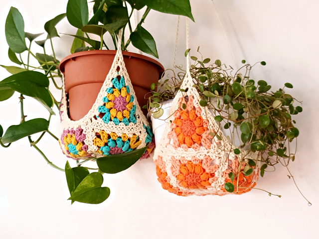 Begonia Plant Hanger
