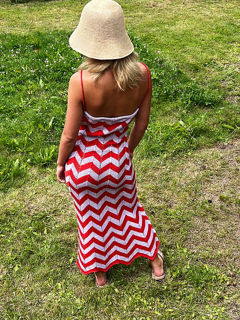 Zagger Dress