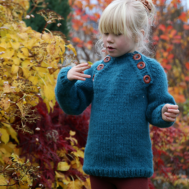 Warm Winter Sweater / Varm Vintergenser
