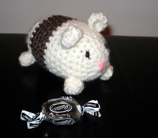 Pete the Guinea pig