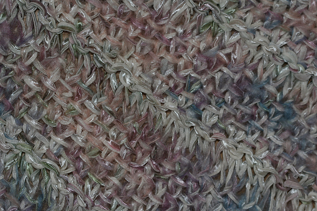 Camomile