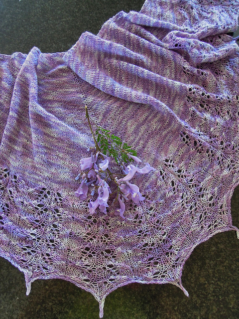 Jacaranda