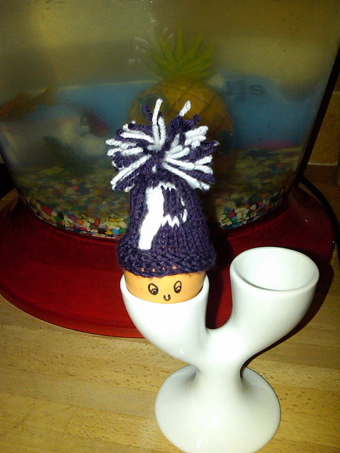 Egg Cozy