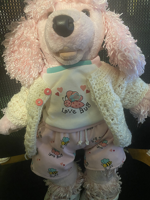 Teddy bear jacket