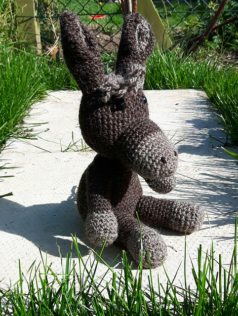Dusty the Donkey